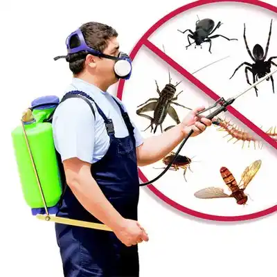 pest control Keene